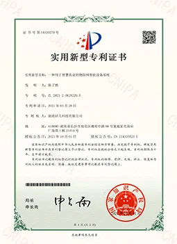 Yanjiiot Invention Patent Certificate - IoT Intelligent Device System