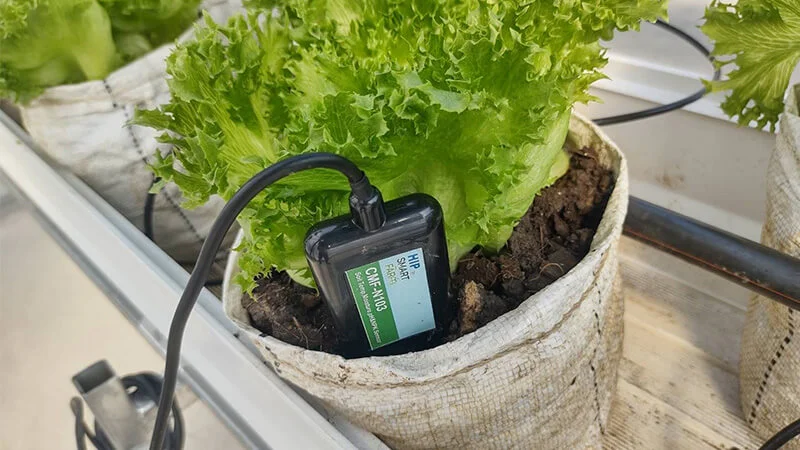 Industrial IoT data transmission module for environmental monitoring